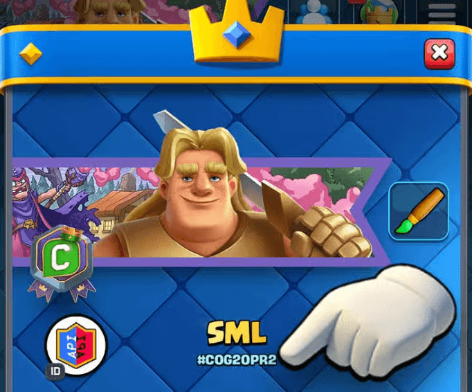 Step 2: Select player tag